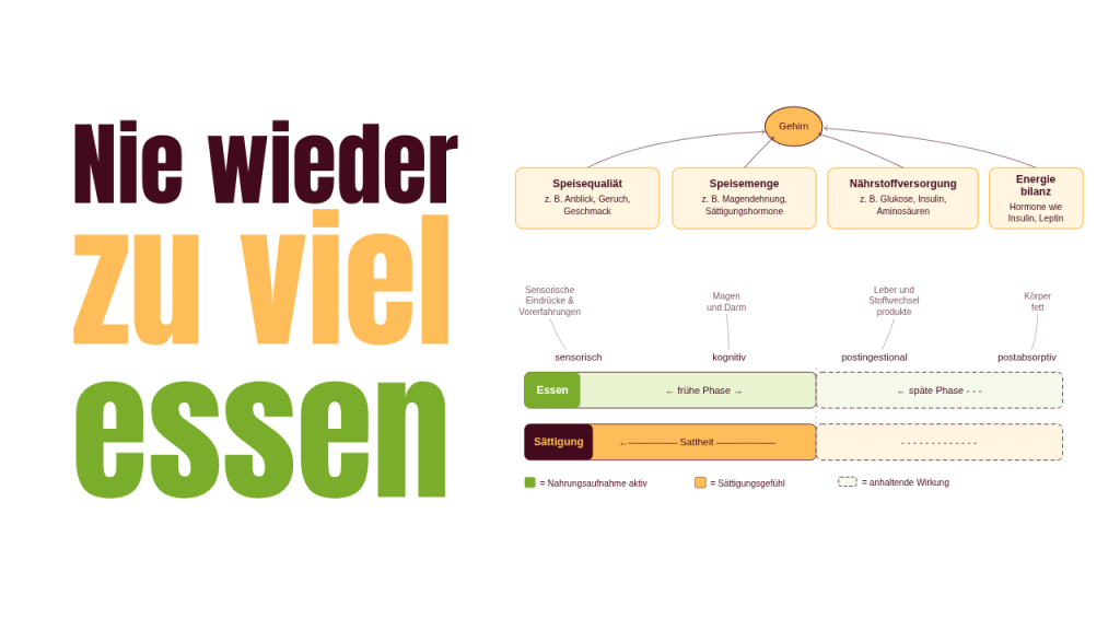 Nie wieder zu viel essen - Sättigungskaskade nach Blundell